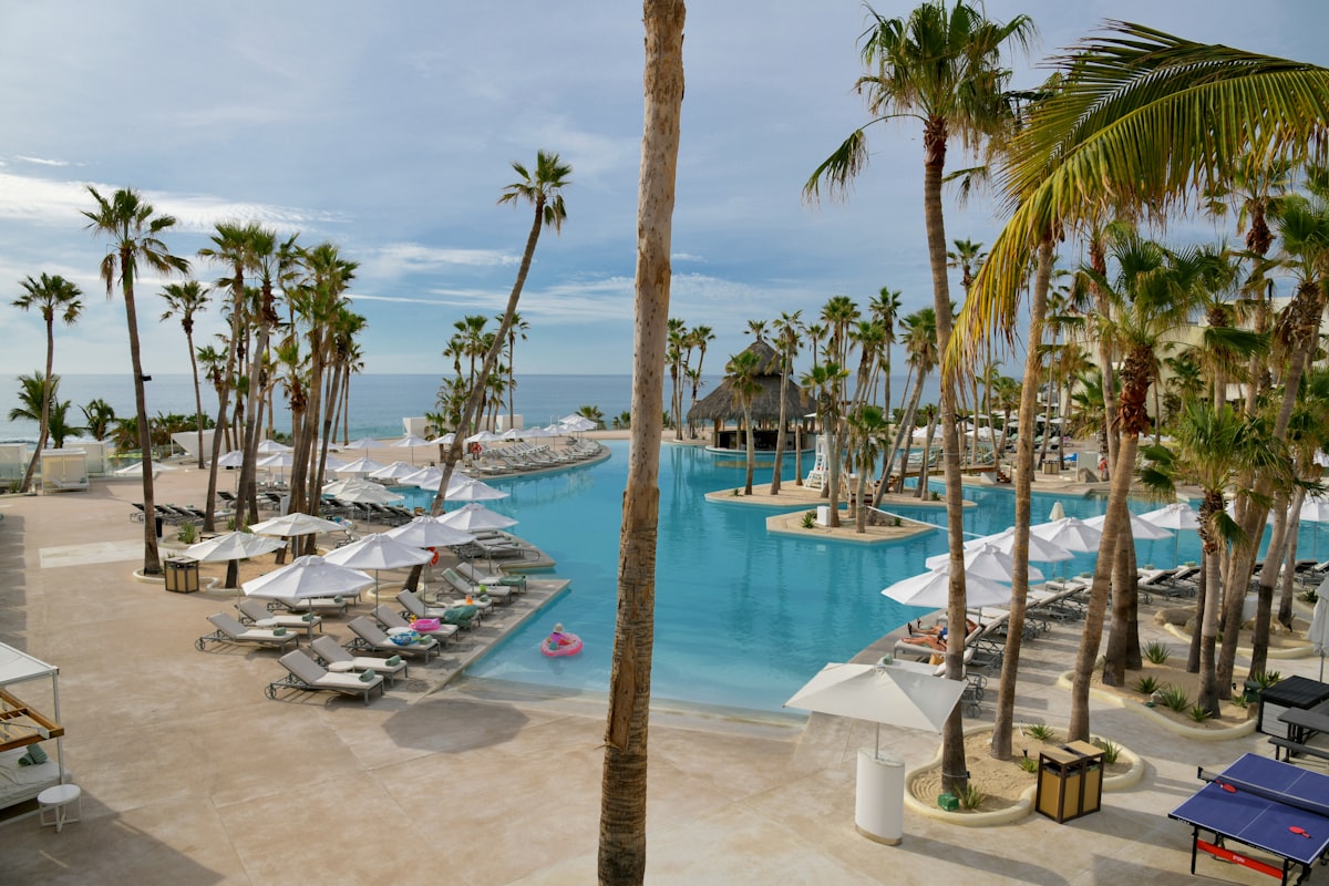 Beach Resort Pool Palms