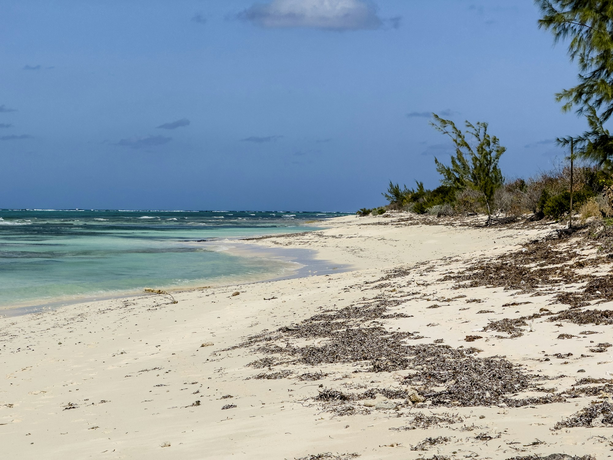 St Lucia sandy beach with turquoise water and lush green trees