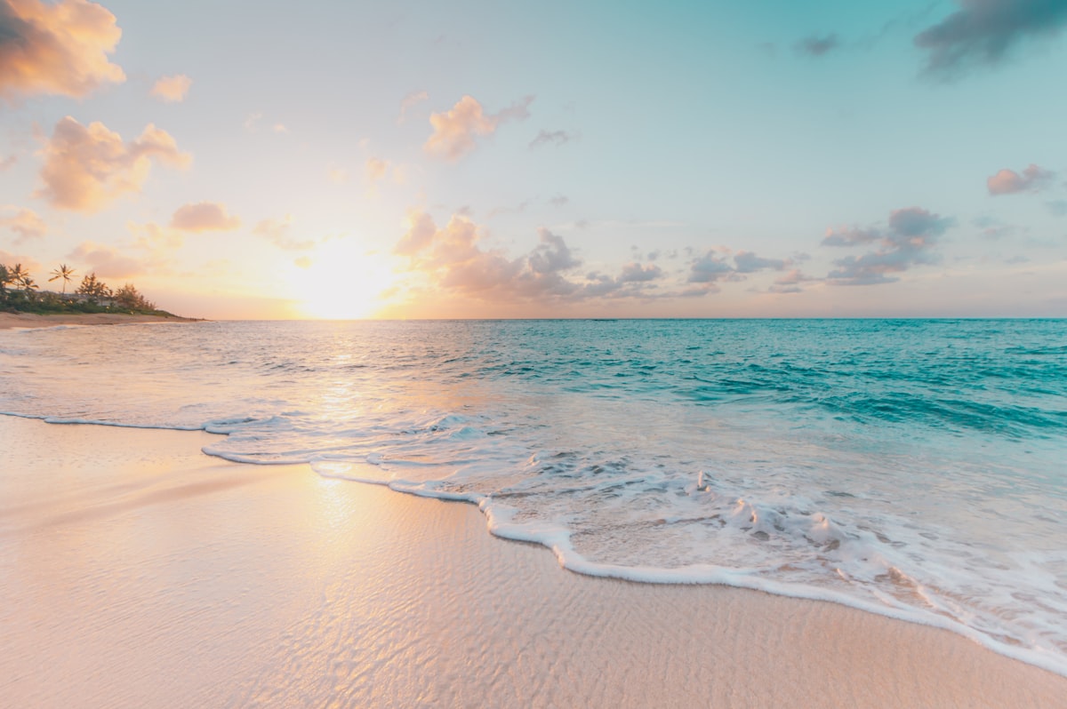 Tropical Caribbean beach at sunset with palm trees, perfect for last-minute all-inclusive deal planning