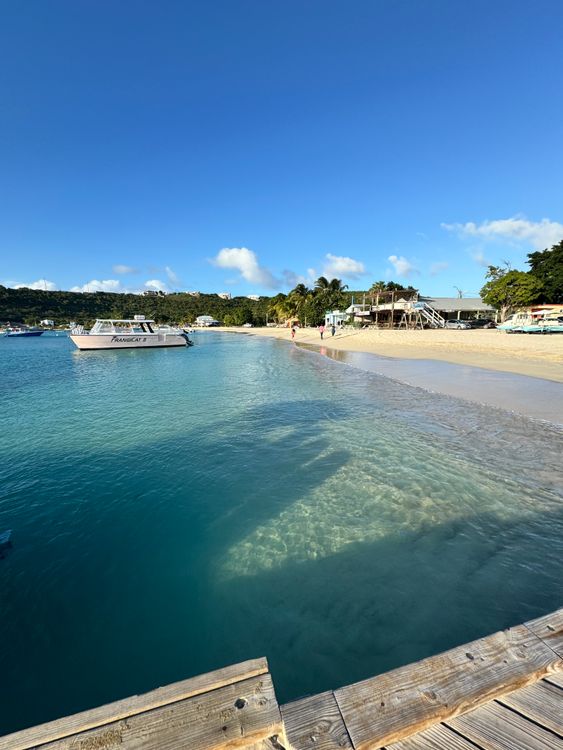 Tropical Caribbean beach with lush greenery and clear turquoise water