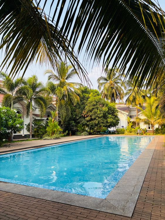 Sunlit tropical pool area surrounded by palm trees and resort villas