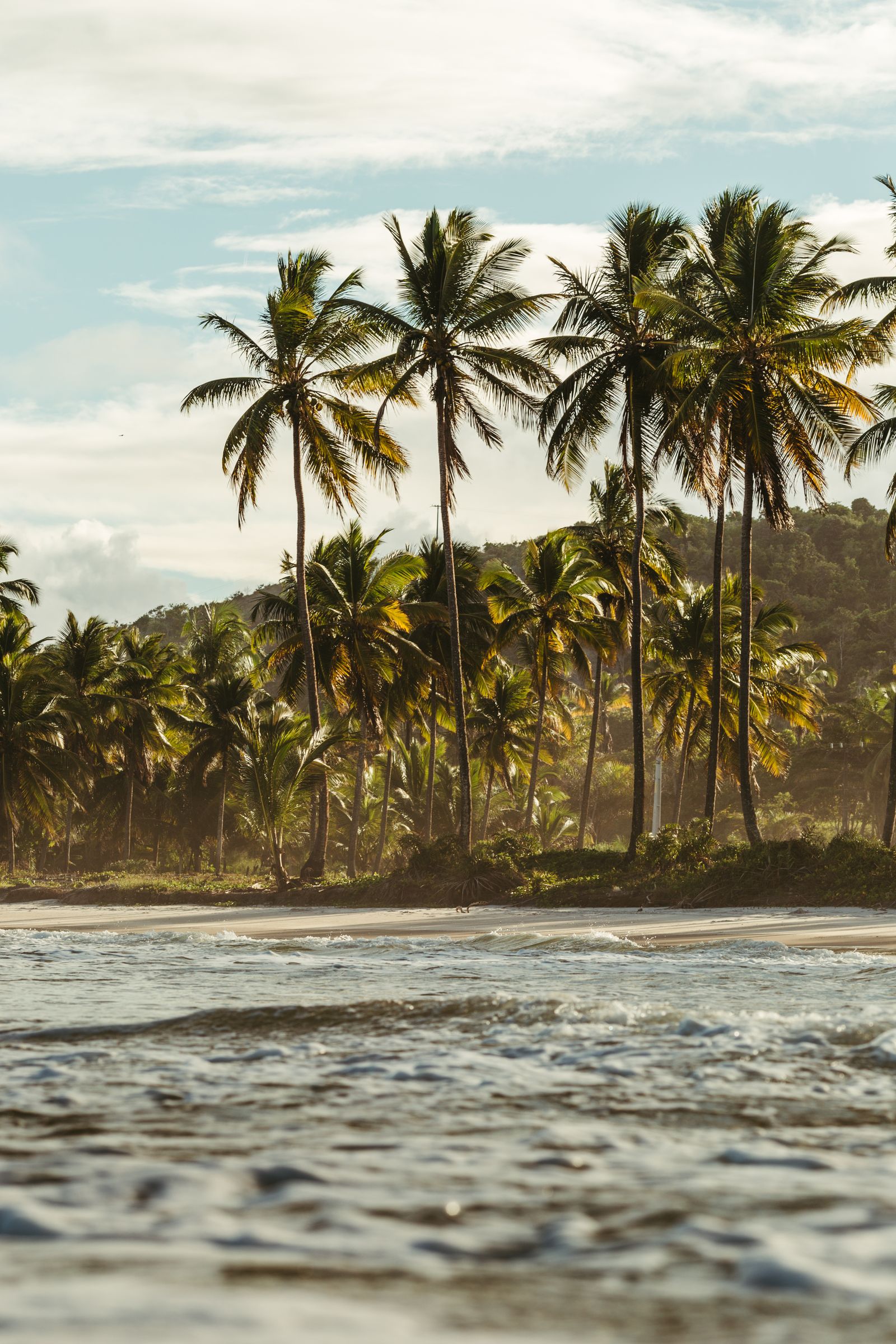 Palm trees silhouetted against a vivid Jamaican sunset