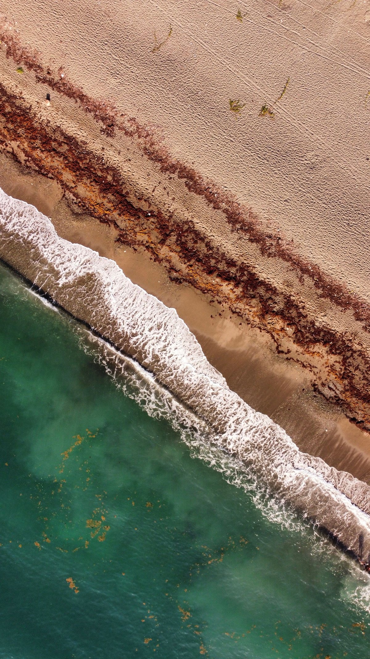 Aerial view of Jamaican resort beachfront with turquoise water and palm-lined shore