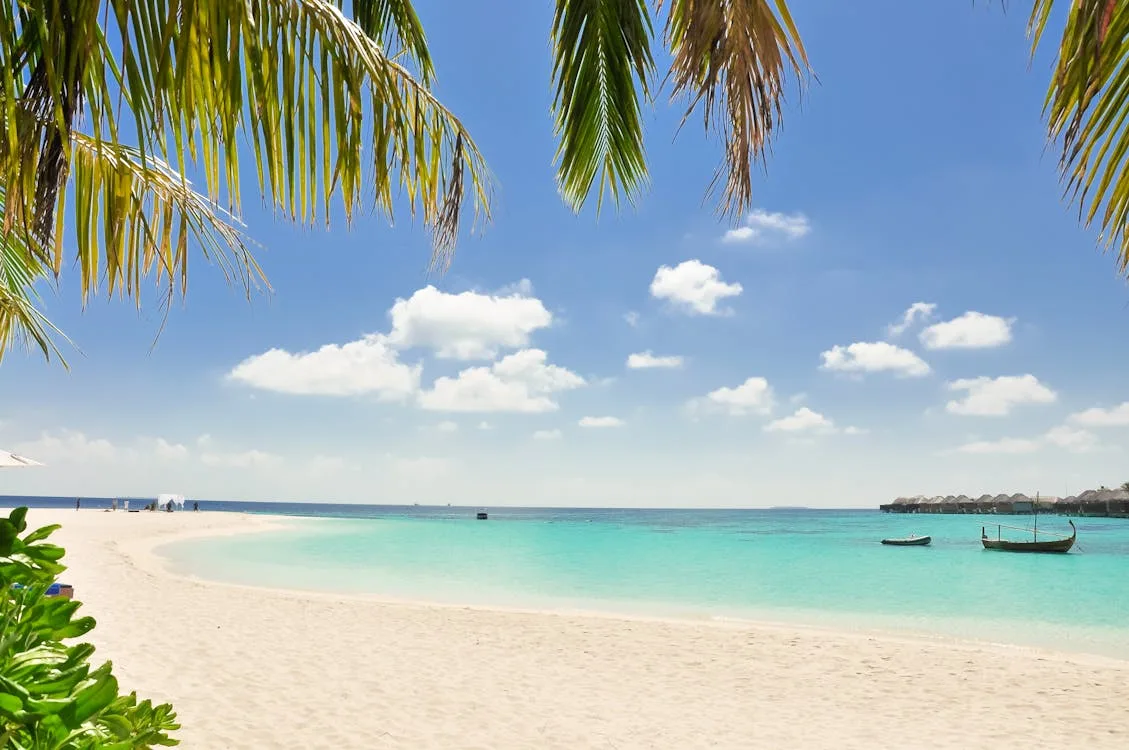 sandals-barbados-vs-royal-barbados-2026
