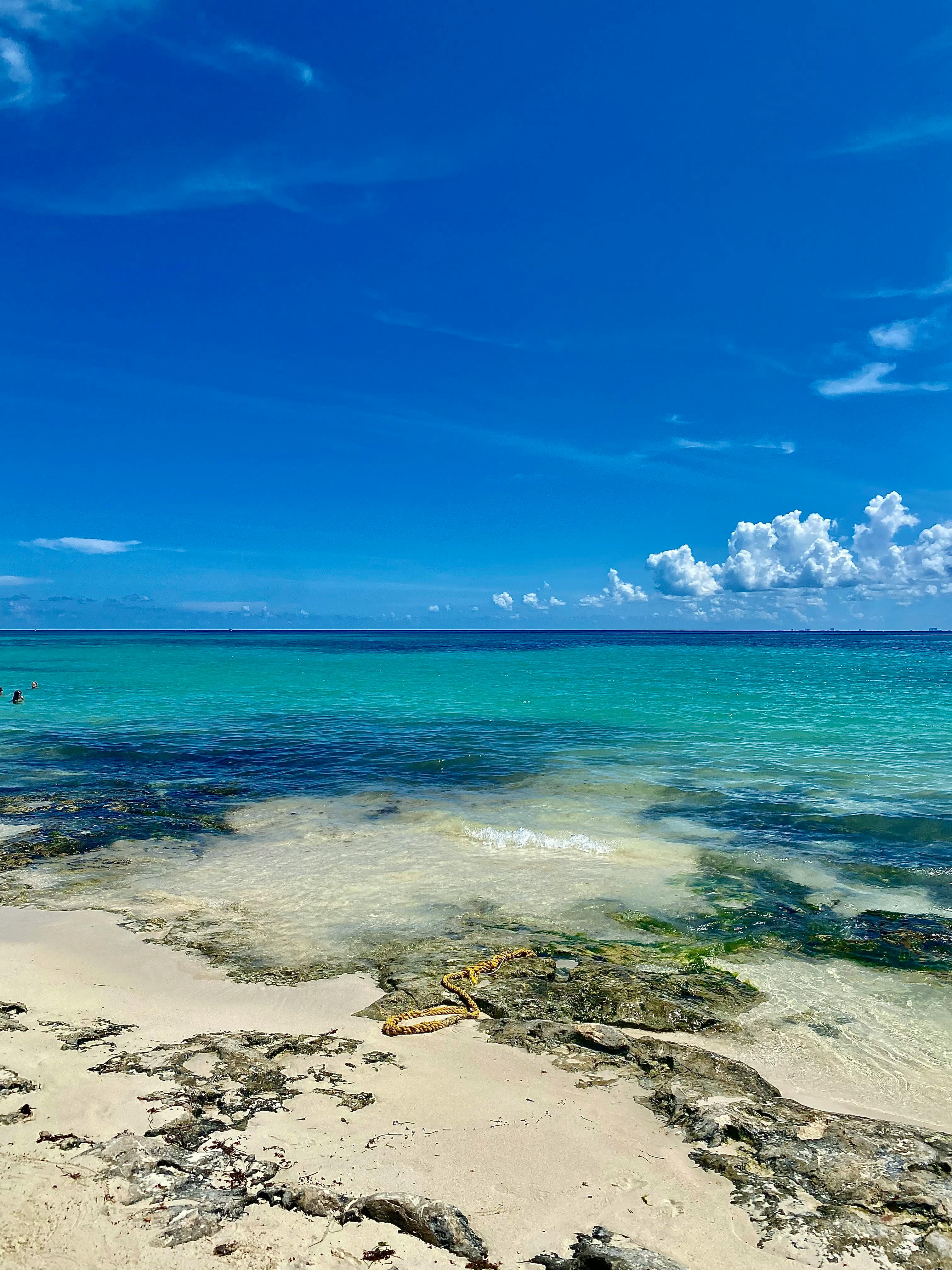 Sandals all-inclusive value dining spread