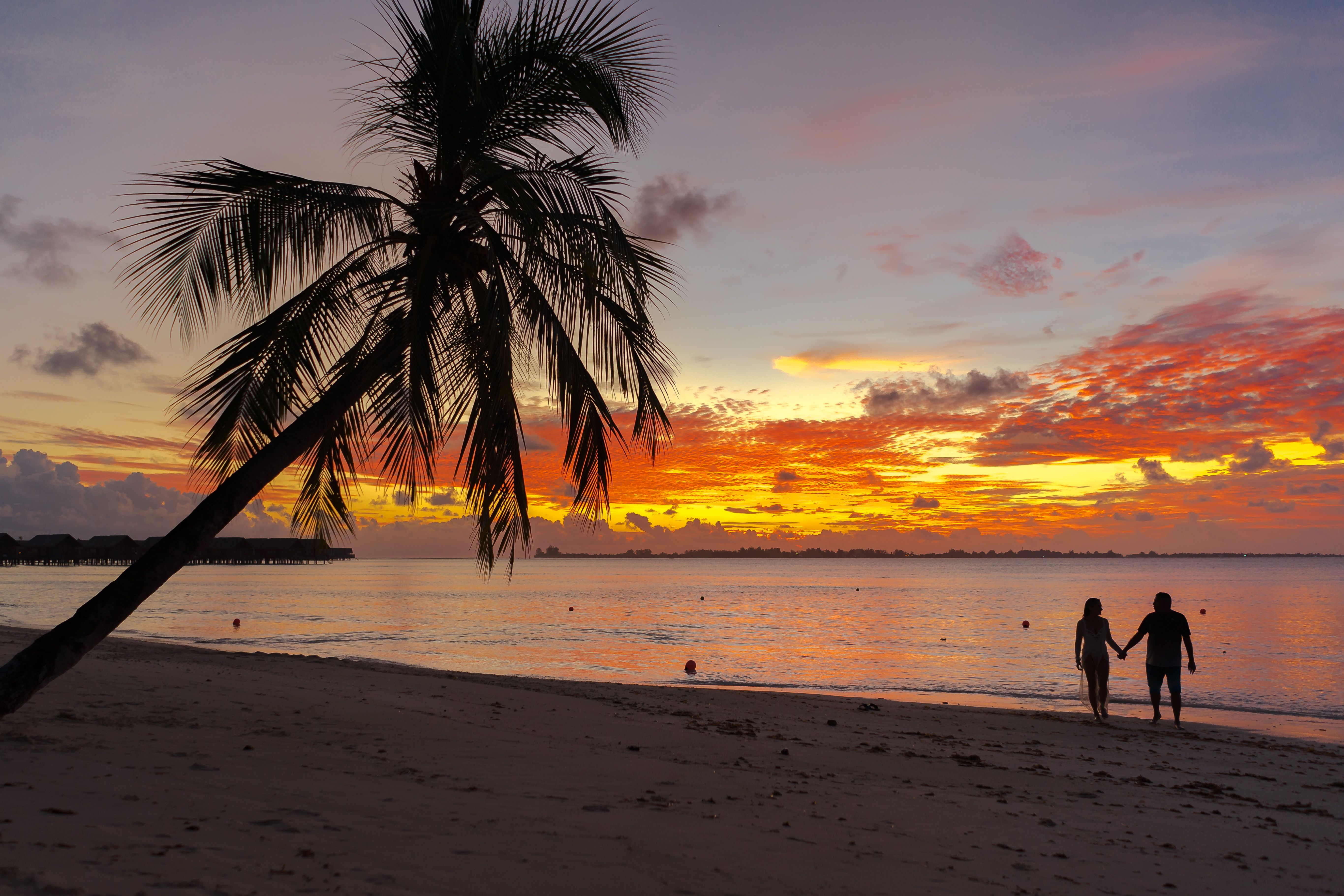 Couple walking on a tropical beach at sunset.