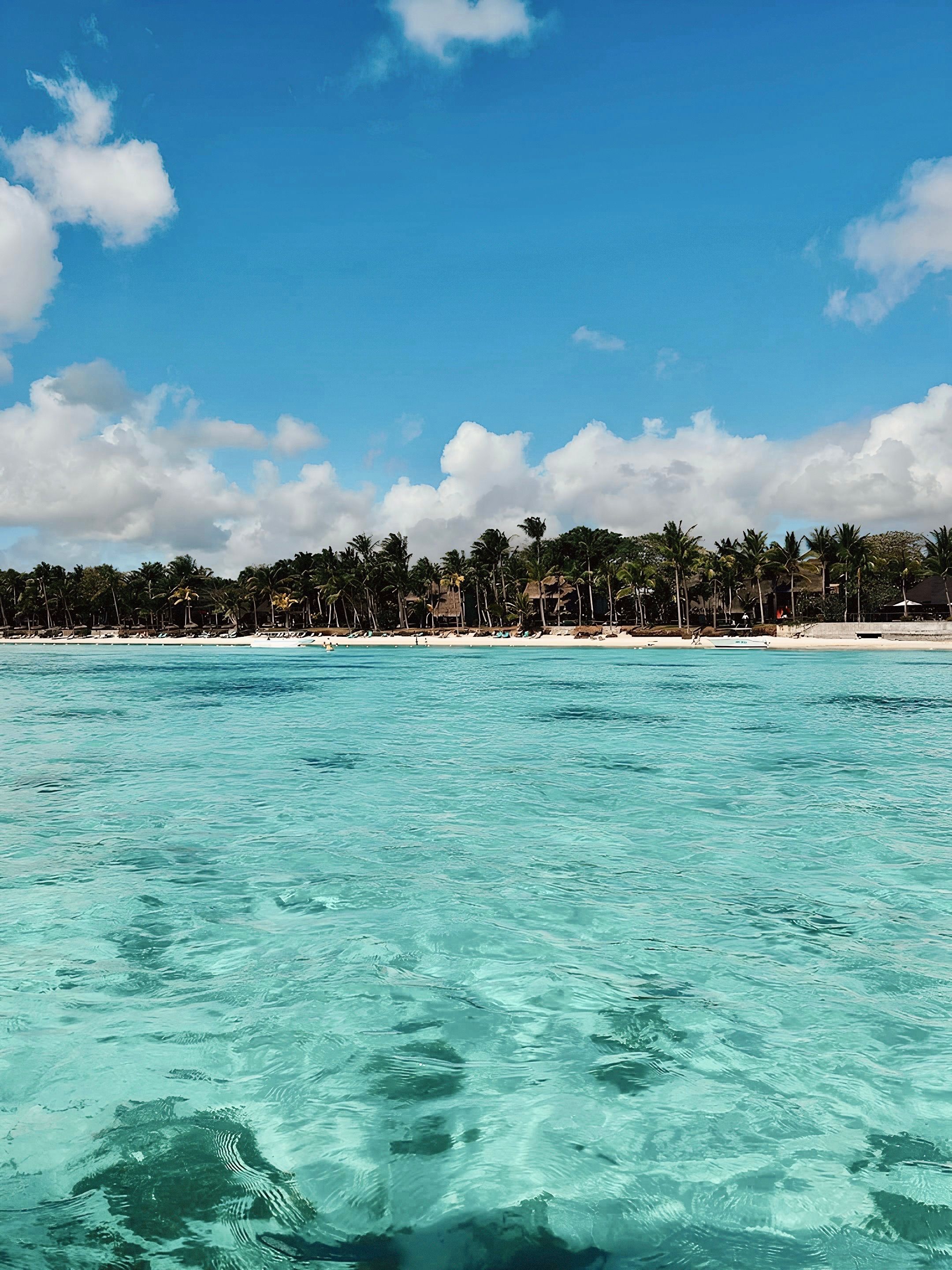 A pristine white-sand tropical beach — the dry-climate shoreline that makes Aruba a top all-inclusive destination.