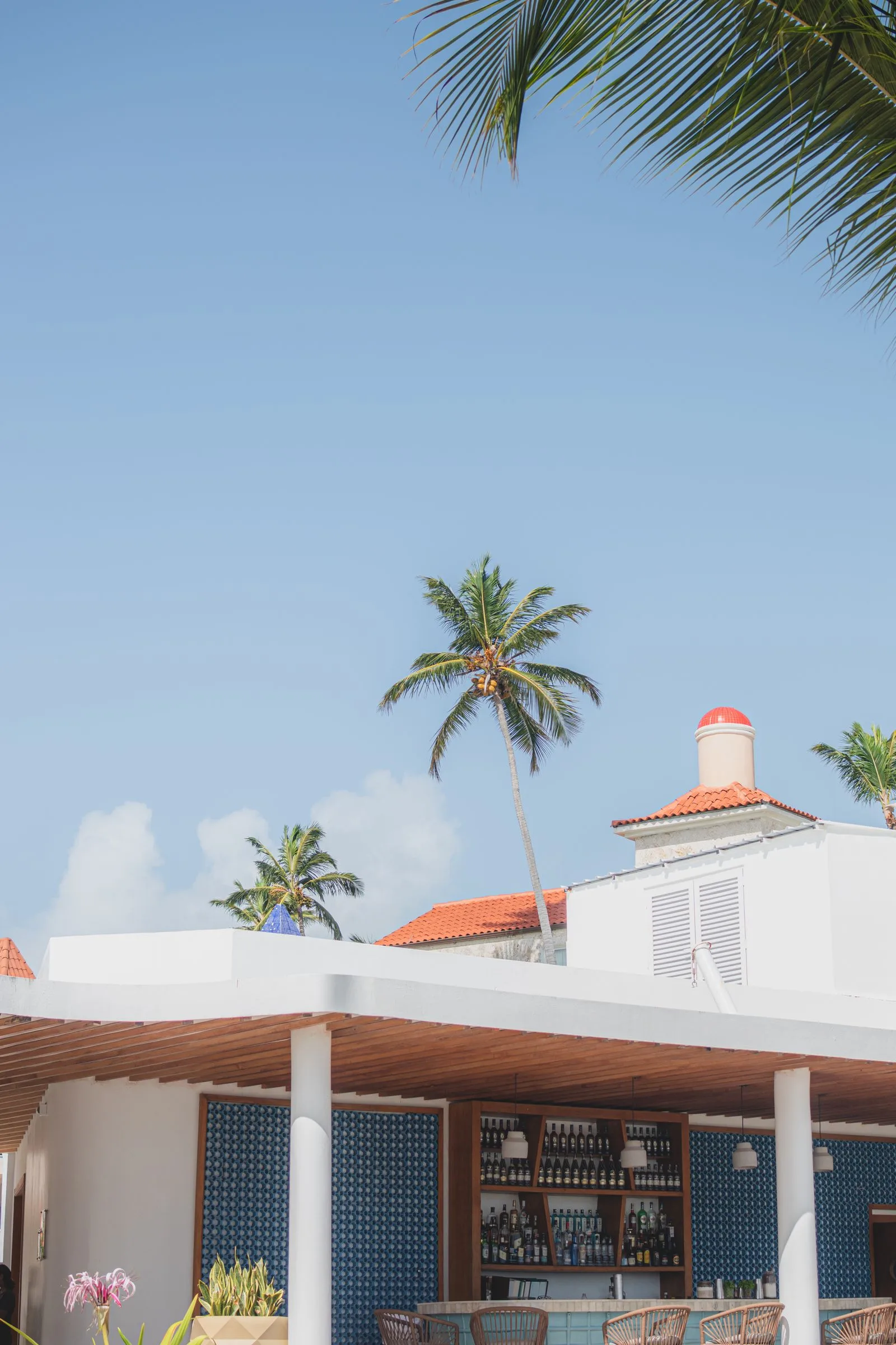 Dunn's River Falls cascading to the Caribbean with resort architecture visible