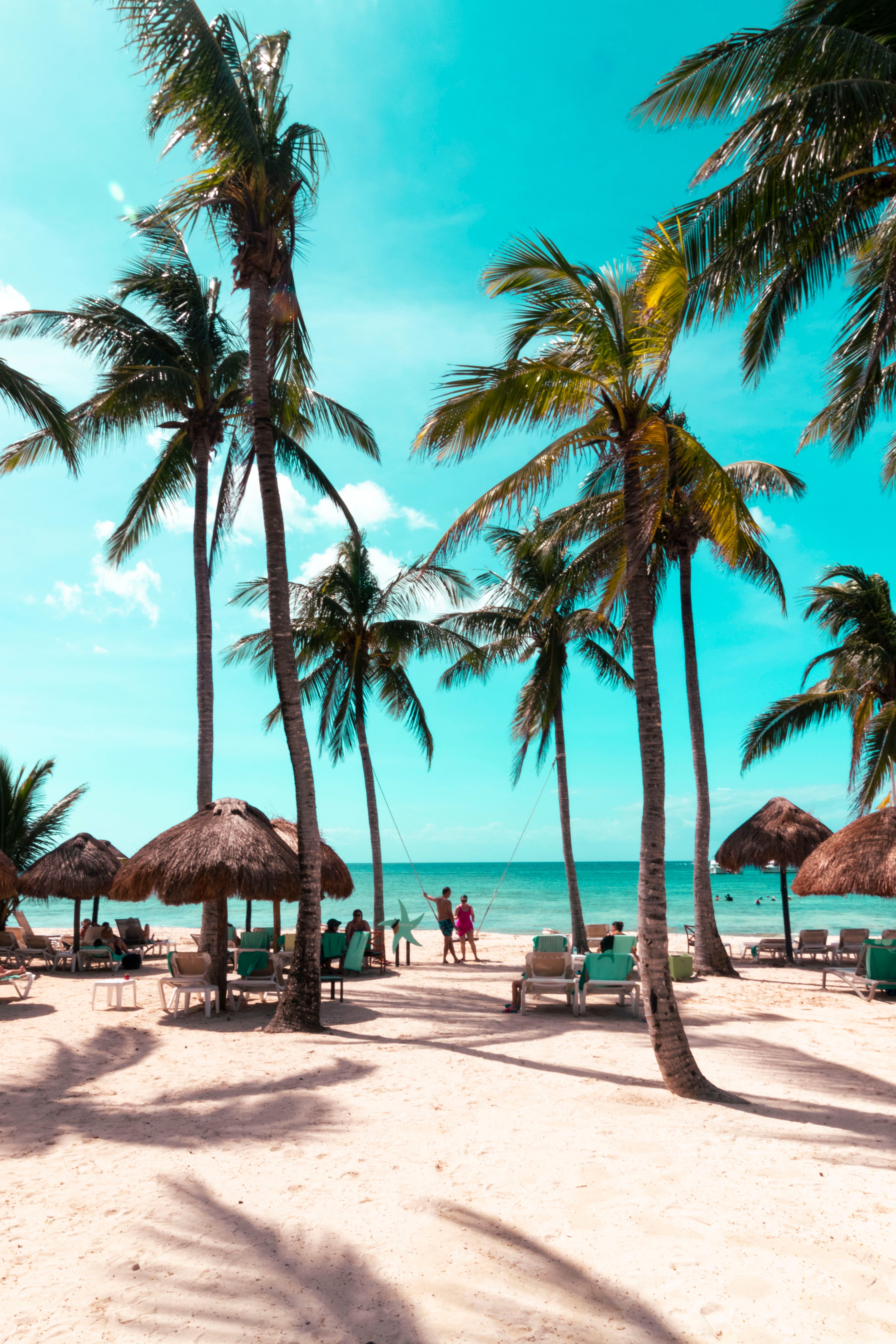 A tropical beachfront resort in the Dutch Caribbean — the closest architectural and climate match to Aruba's all-inclusive offerings.